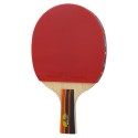 Table Tennis Ball and Bat Set