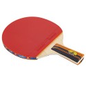 Table Tennis Ball and Bat Set